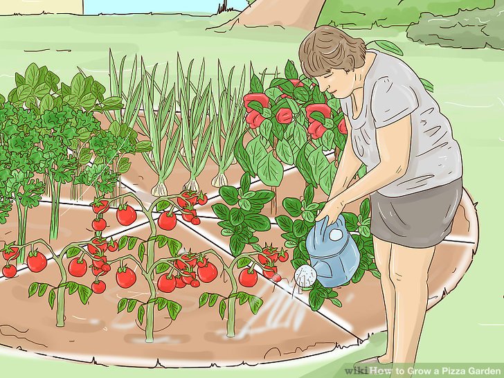 Plante uma horta de pizza
