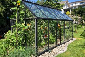 best greenhouse