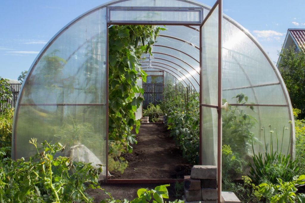 best greenhouse